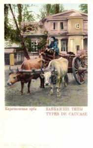 Кавказские типы ― Лучший магазин по коллекционированию pugachev-studio.ru