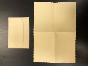Визитка + Конверт ― Лучший магазин по коллекционированию pugachev-studio.ru